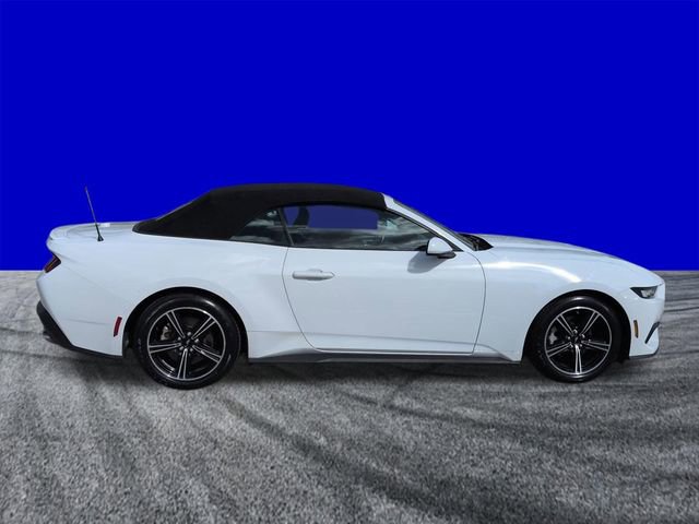 Certified 2024 Ford Mustang Premium image 3