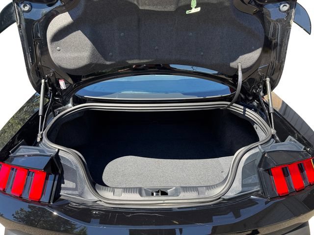Certified 2024 Ford Mustang GT Premium w/ California Special Package RWD image 18