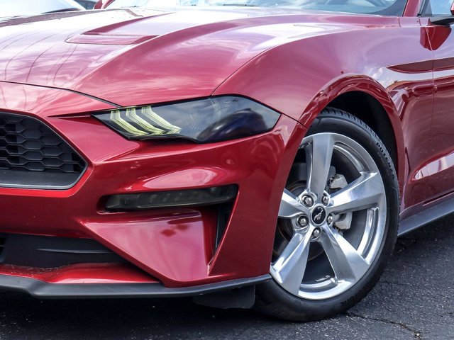 Certified 2019 Ford Mustang Premium w/ Equipment Group 201A RWD image 4