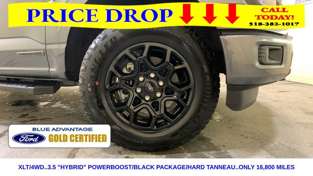 Certified 2025 Ford F150 XLT w/ Equipment Group 301A Standard image 12