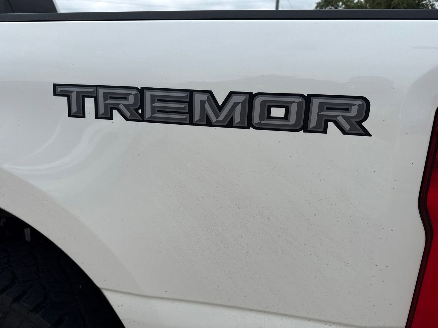Certified 2024 Ford F250 Platinum w/ Tremor Off-Road Package AWD/4WD image 8
