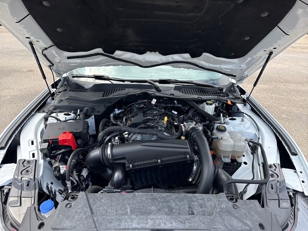 Certified 2024 Ford Mustang Premium image 29
