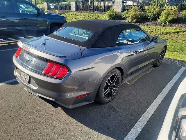 Certified 2021 Ford Mustang Premium RWD image 3