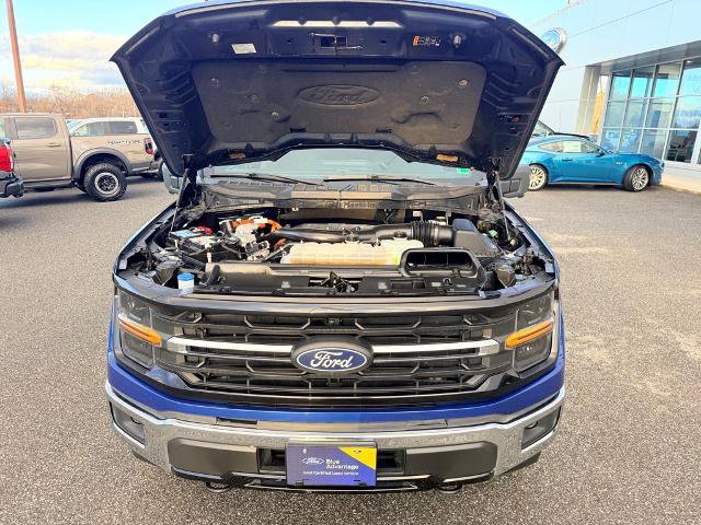 Certified 2024 Ford F150 XLT w/ Mobile Office Package image 12