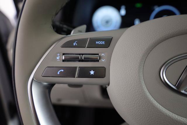 Used 2025 Hyundai Palisade Calligraphy AWD/4WD image 15