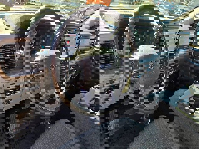 Certified 2025 Ford F150 XLT w/ Equipment Group 301A Standard image 10