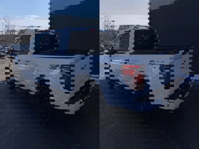 Certified 2024 Ford F150 STX w/ STX Black Appearance Package image 19