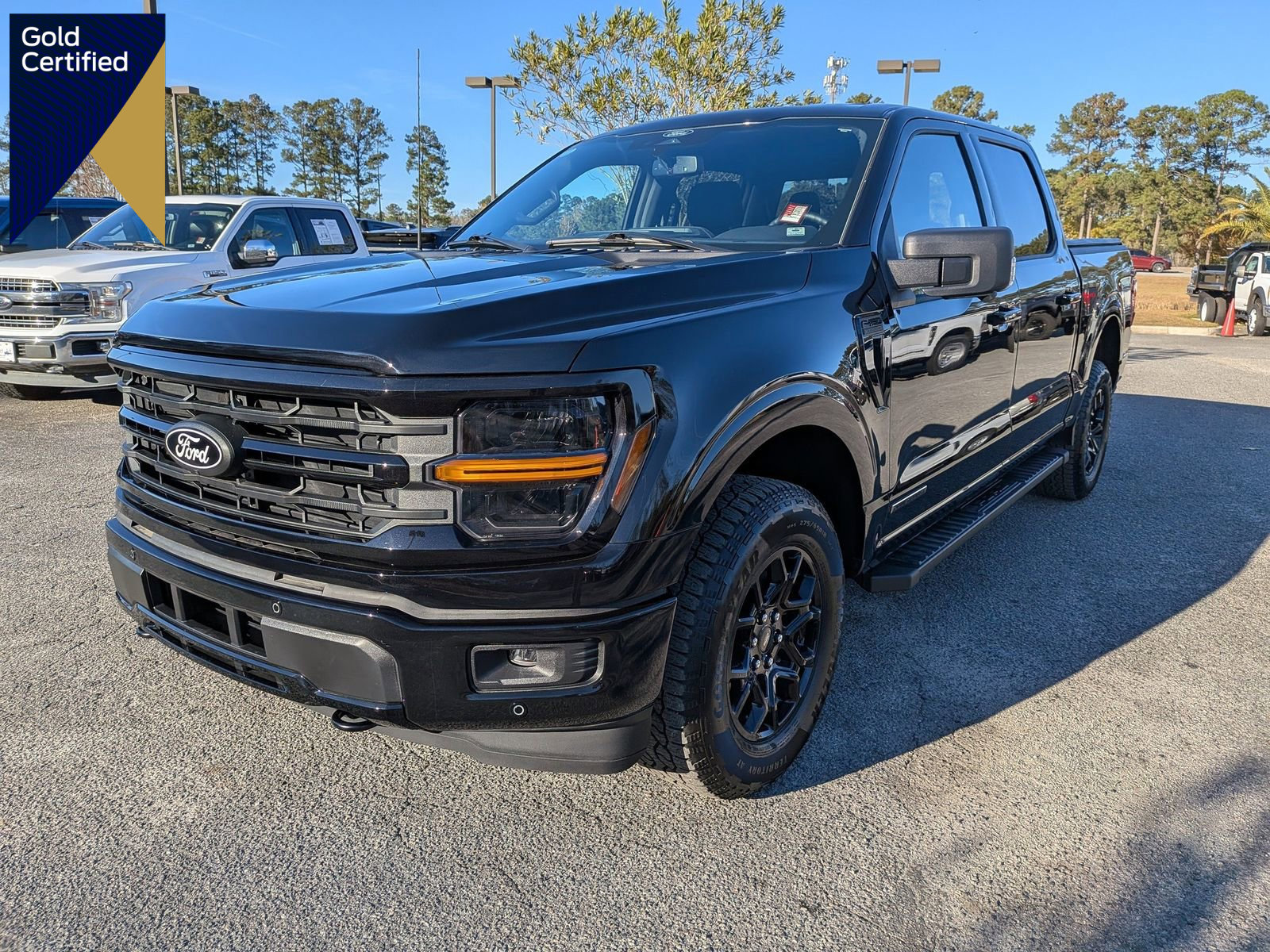 Certified 2025 Ford F150 XLT w/ Equipment Group 302A MID