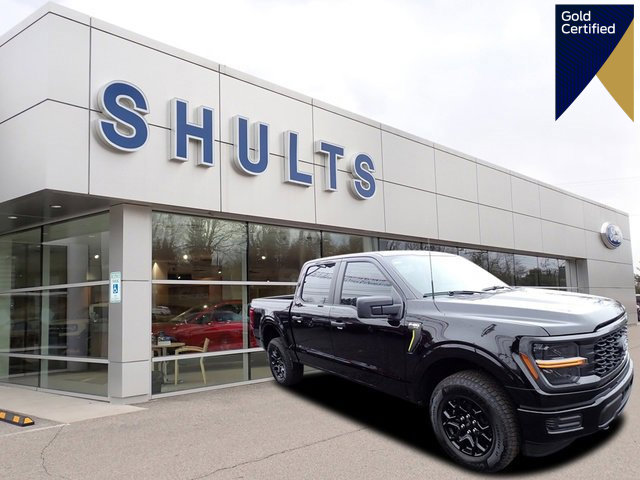 Certified 2025 Ford F150 STX image 1