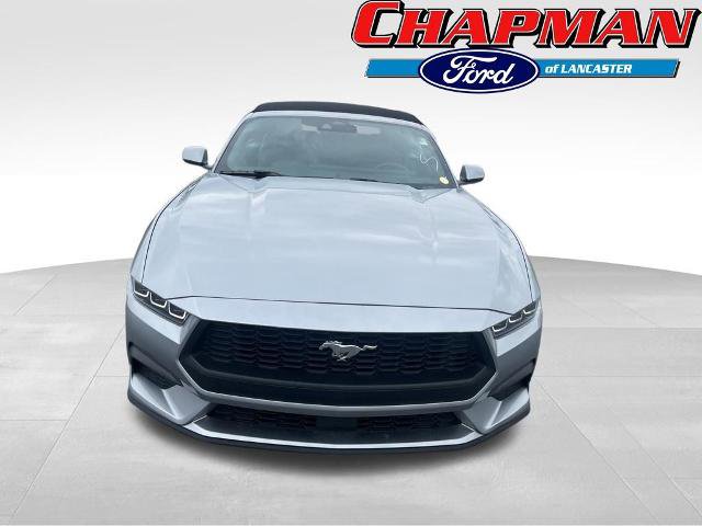 Certified 2024 Ford Mustang Premium RWD image 2