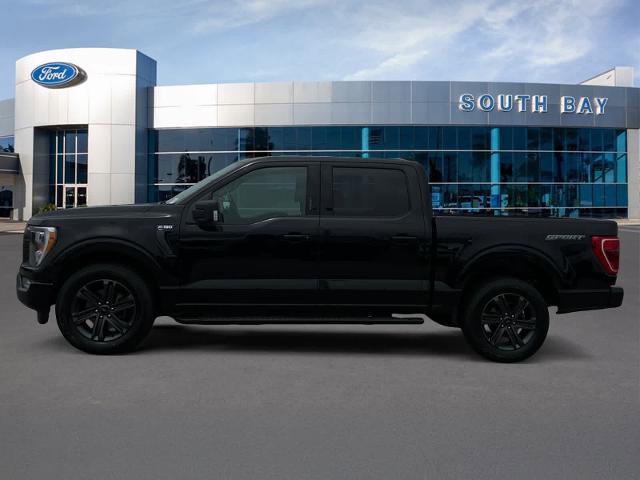 Certified 2023 Ford F150 XLT w/ Equipment Group 302A High RWD image 2