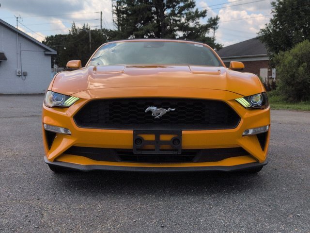 Certified 2019 Ford Mustang Premium w/ Equipment Group 201A RWD image 9
