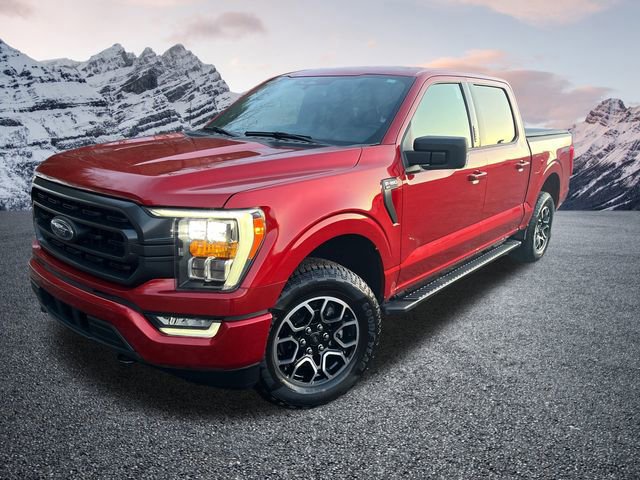 Certified 2023 Ford F150 XLT w/ Equipment Group 302A High image 8