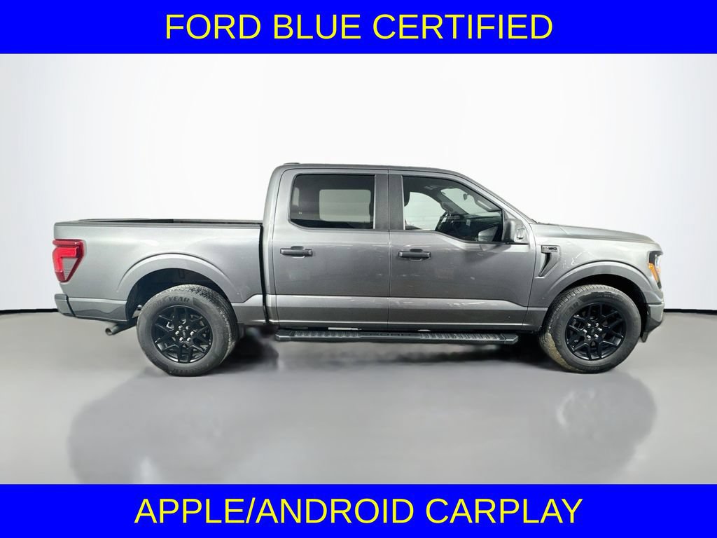 Certified 2024 Ford F150 STX w/ STX Black Appearance Package RWD image 6