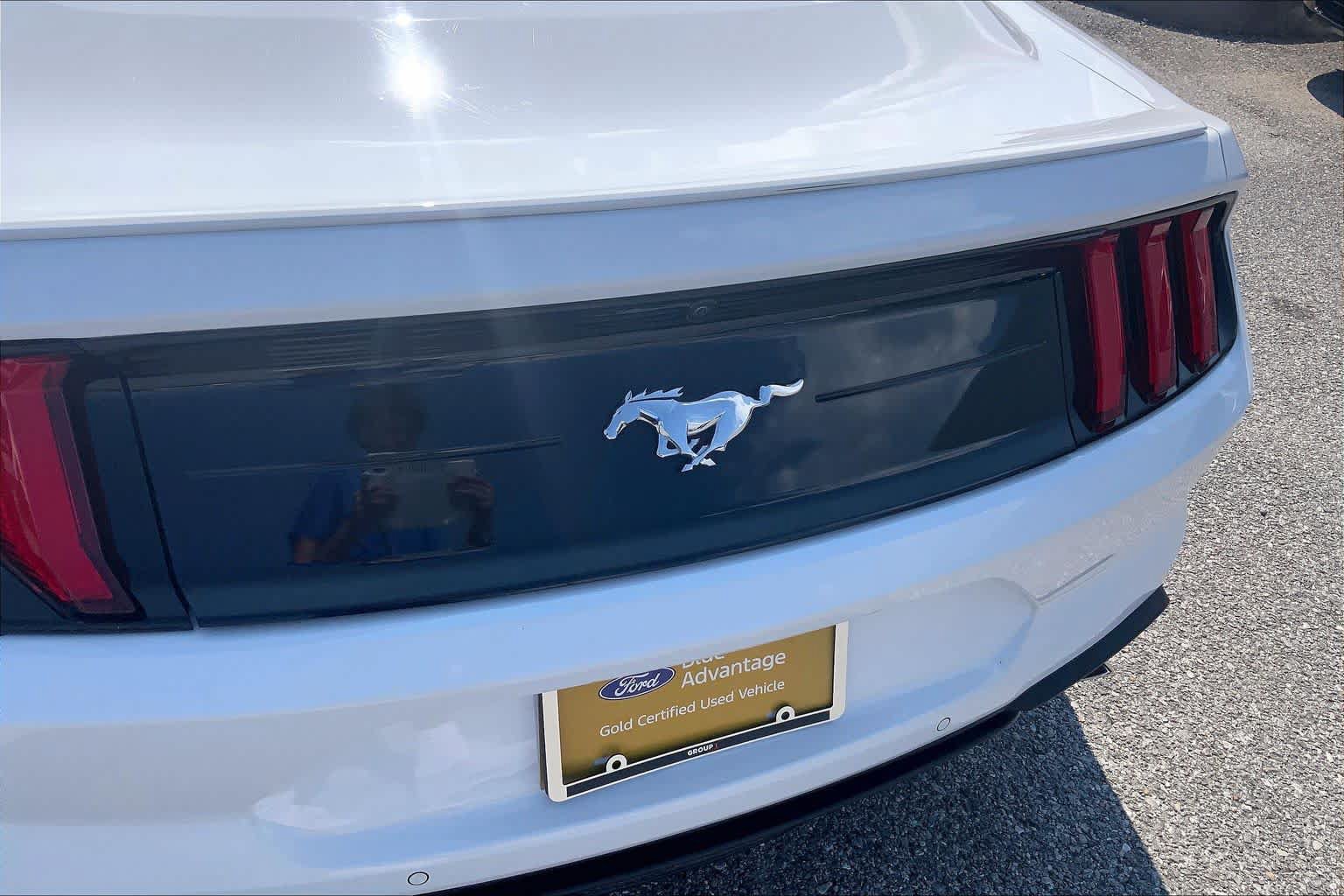 Certified 2022 Ford Mustang Premium w/ Equipment Group 201A RWD image 30
