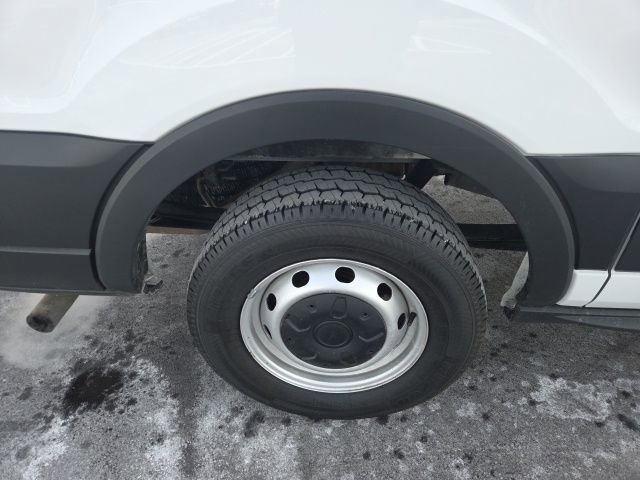 Certified 2024 Ford Transit 150 Low Roof w/ Load Area Protection Package image 5