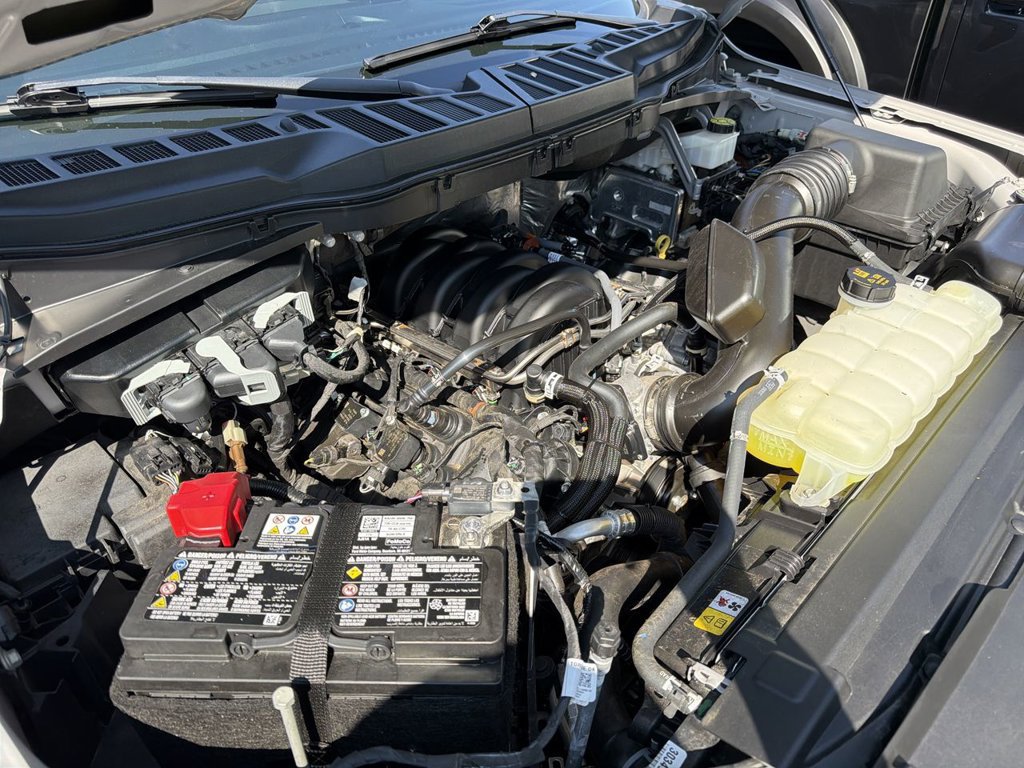 Certified 2024 Ford F150 XL w/ Equipment Group 103A High RWD image 25