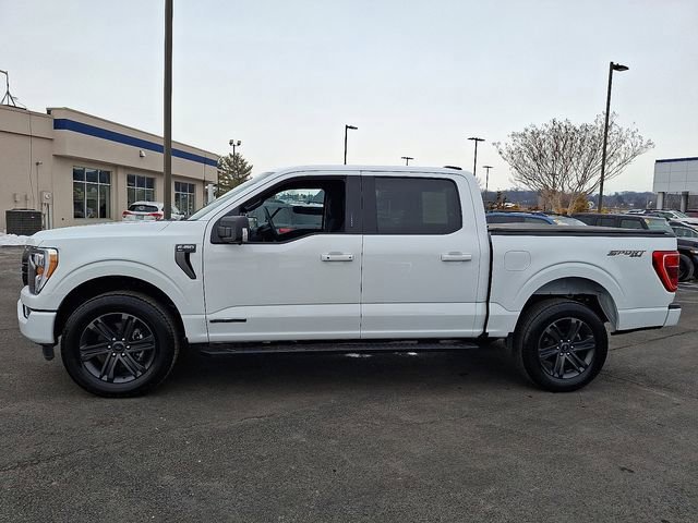 Certified 2023 Ford F150 XLT w/ Equipment Group 302A High image 2