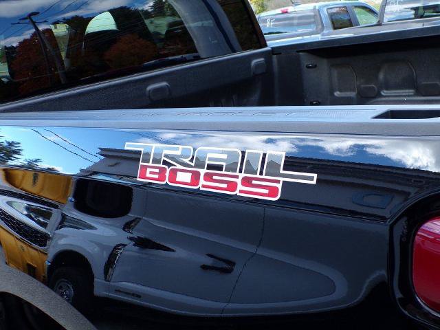 Used 2021 Chevrolet Silverado 1500 LT Trail Boss AWD/4WD image 9