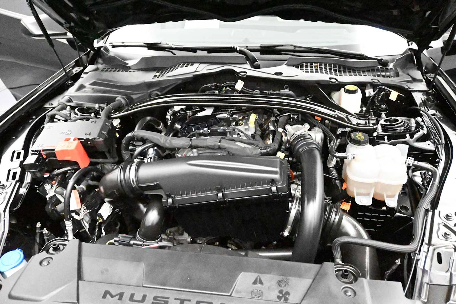 Certified 2025 Ford Mustang Premium RWD image 11
