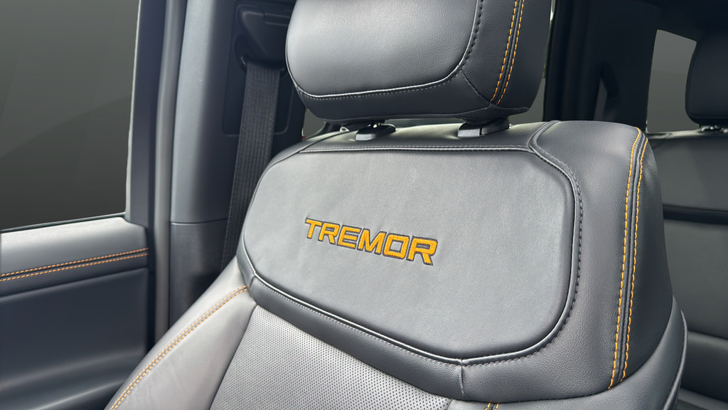 Certified 2025 Ford Expedition Tremor AWD/4WD image 38