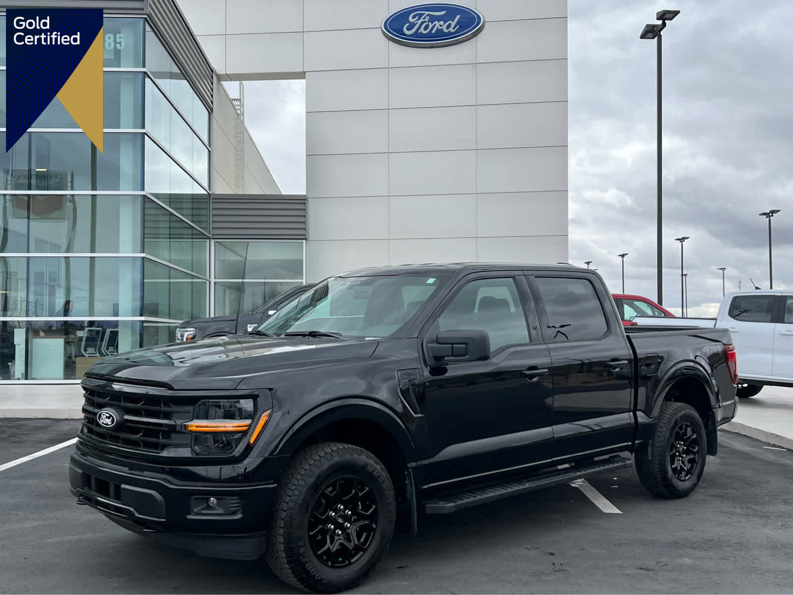 Certified 2025 Ford F150 XLT w/ Equipment Group 301A Standard