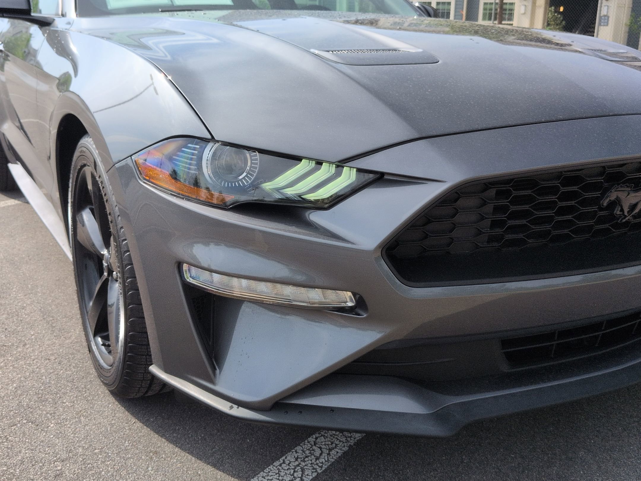 Certified 2023 Ford Mustang Coupe w/ Equipment Group 101A RWD image 10