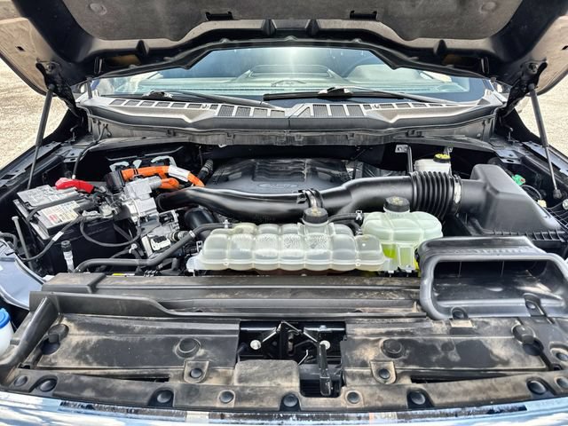 Certified 2023 Ford F150 King Ranch w/ Equipment Group 601A High AWD/4WD image 26