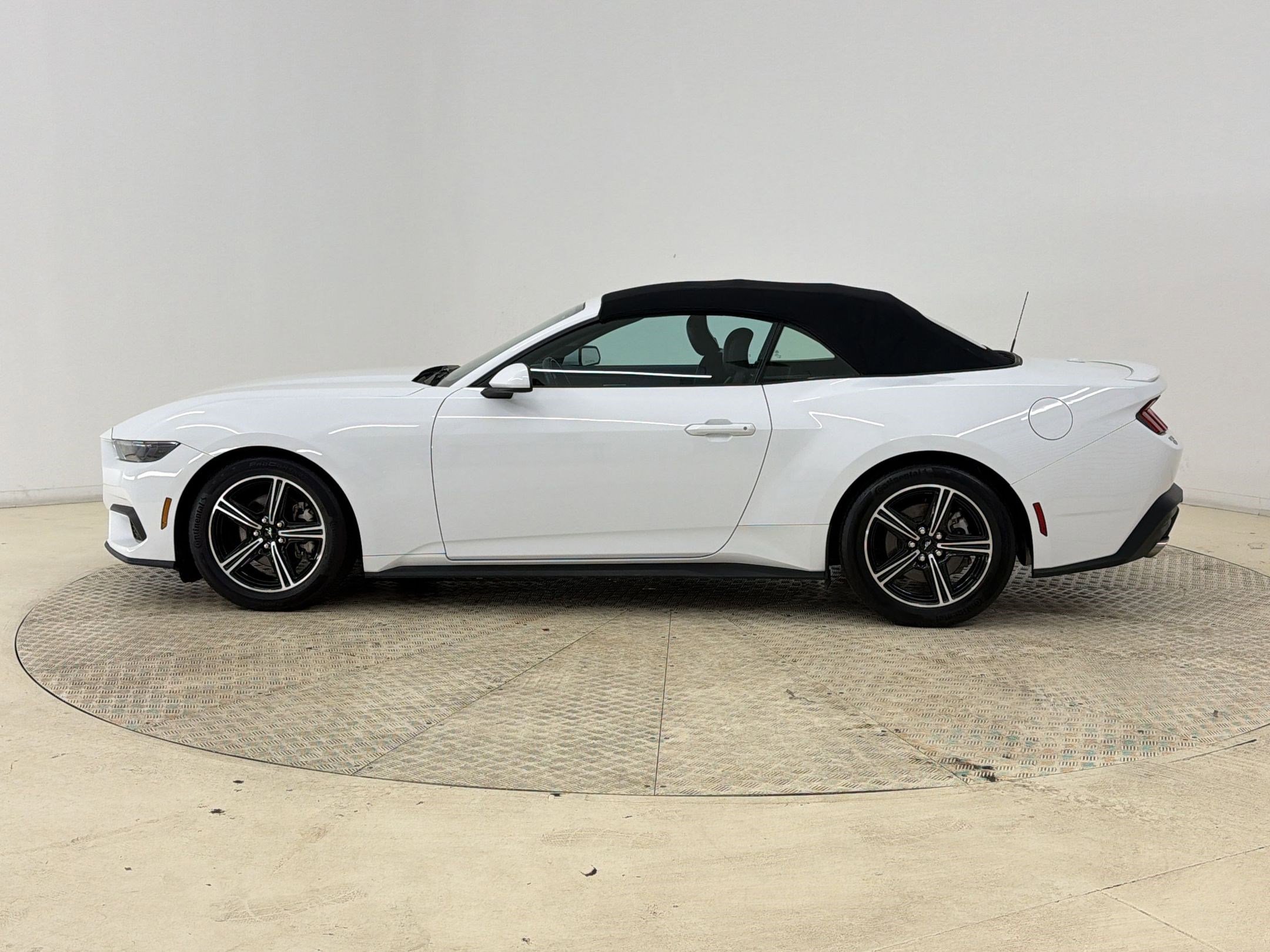 Certified 2025 Ford Mustang Premium RWD image 2