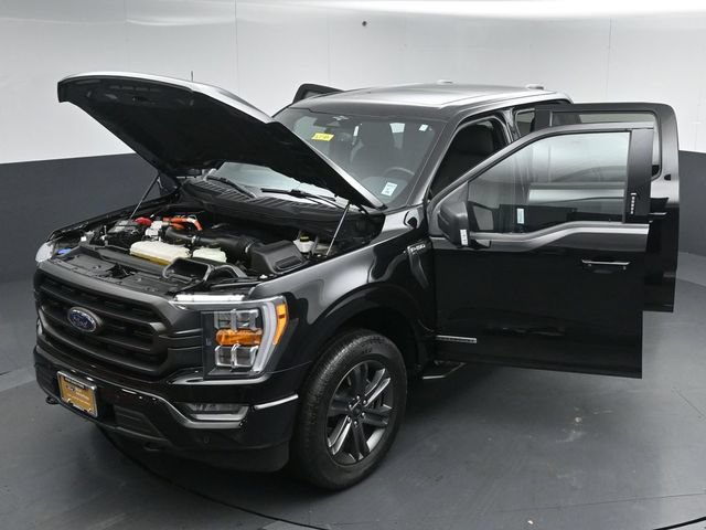 Certified 2023 Ford F150 XLT w/ Equipment Group 302A High AWD/4WD image 56