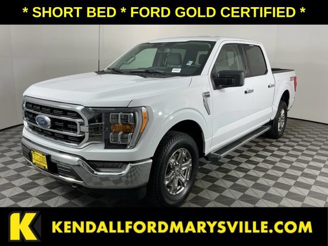 Certified 2023 Ford F150 XLT w/ Equipment Group 302A High