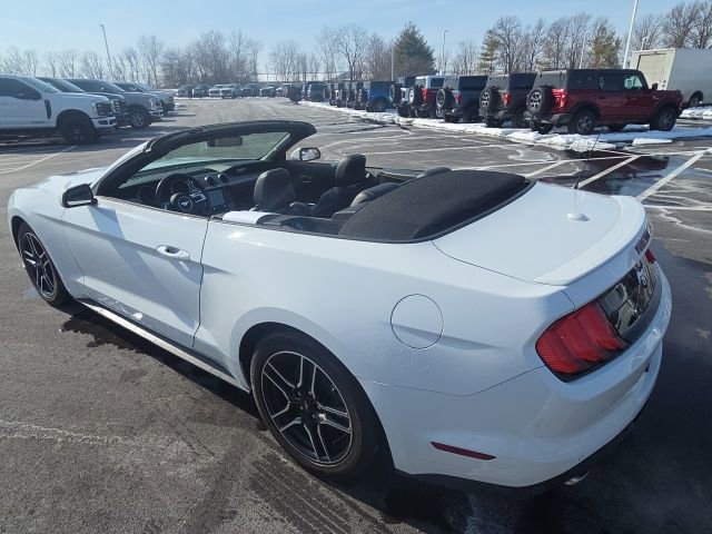 Certified 2023 Ford Mustang Premium image 3