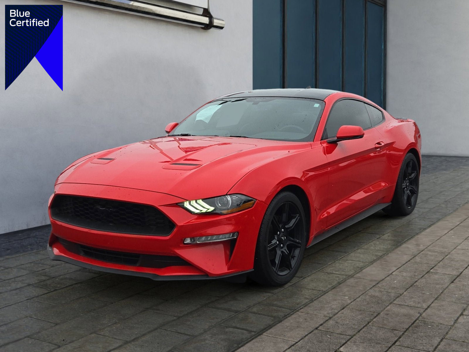 Certified 2020 Ford Mustang Premium w/ Equipment Group 201A