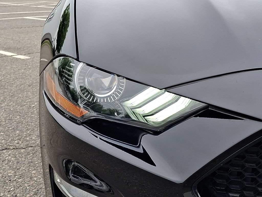 Certified 2019 Ford Mustang GT Premium w/ Equipment Group 401A RWD image 12