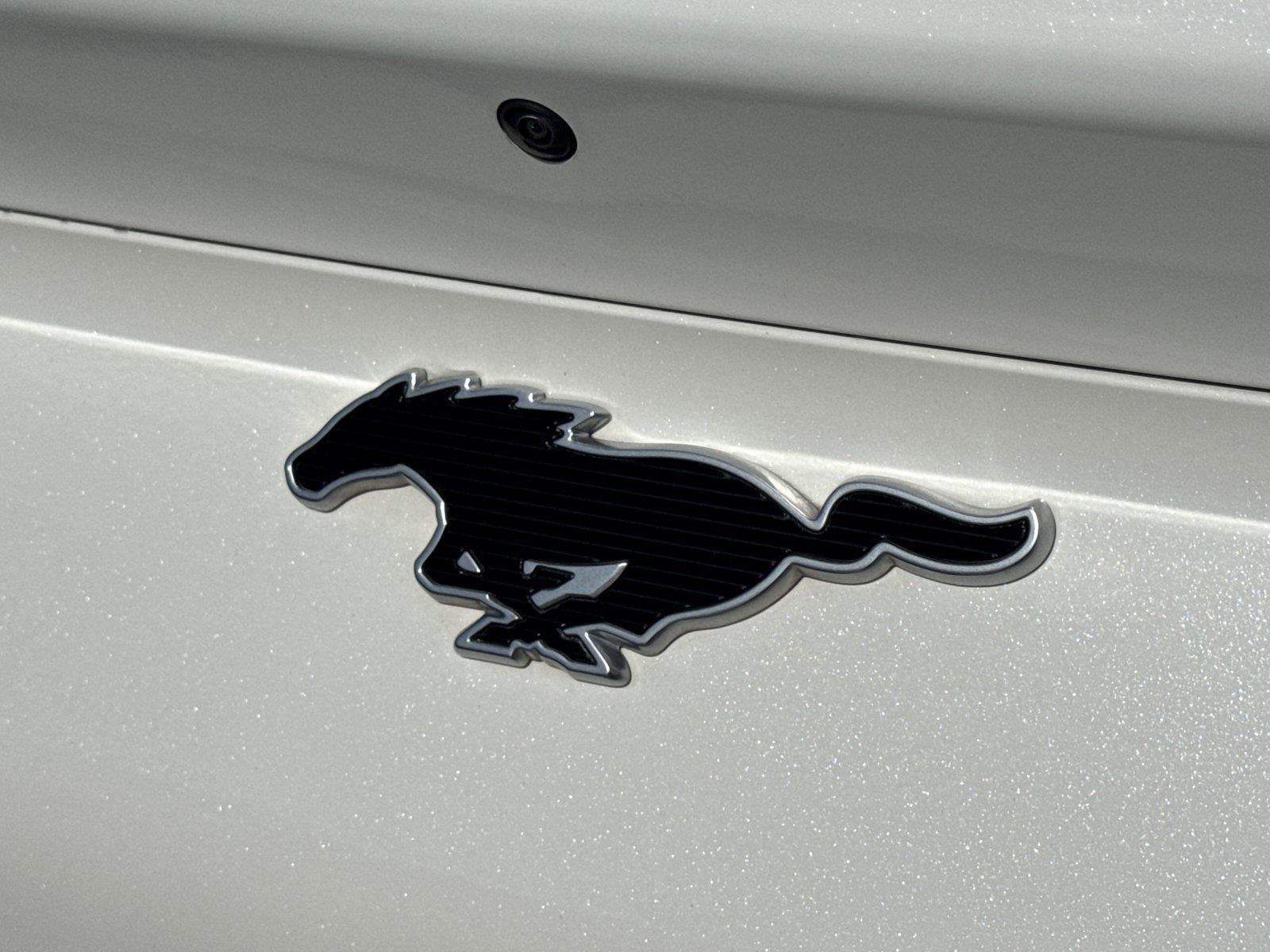 Certified 2023 Ford Mustang Mach-E Premium RWD image 14