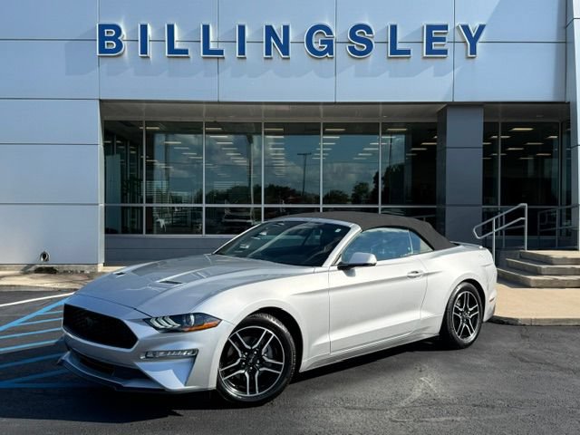 Certified 2019 Ford Mustang Premium RWD image 2
