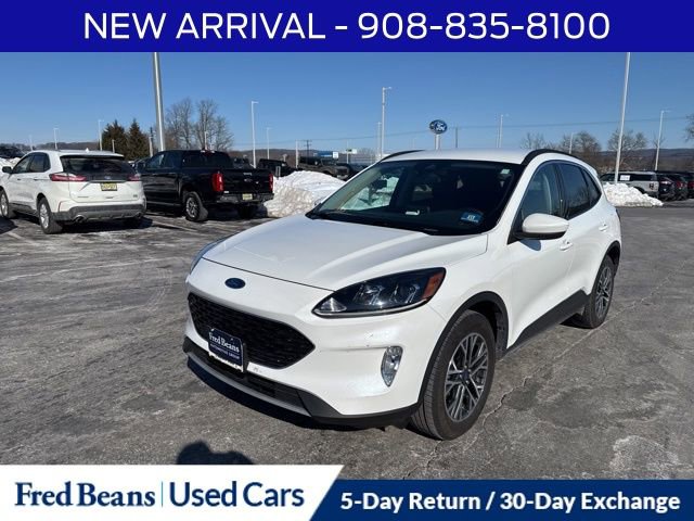 Certified 2020 Ford Escape SEL image 3