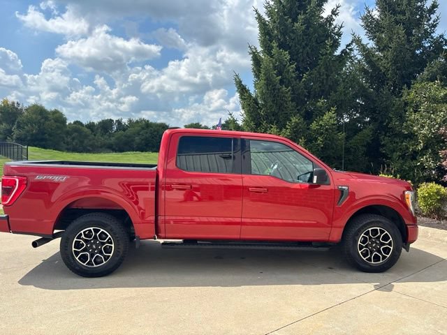 Certified 2023 Ford F150 XLT w/ Equipment Group 302A High AWD/4WD image 6