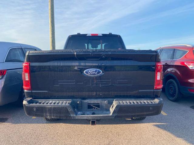 Certified 2023 Ford F150 XLT w/ Equipment Group 302A High AWD/4WD image 8