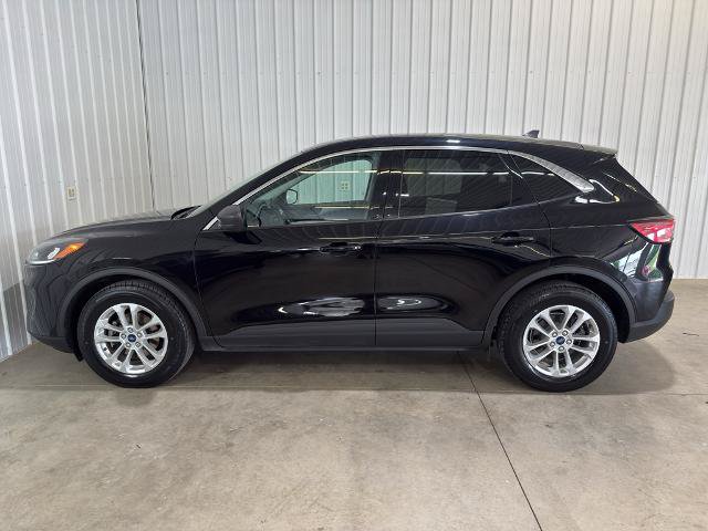 Certified 2022 Ford Escape SE w/ Convenience Package FWD image 7