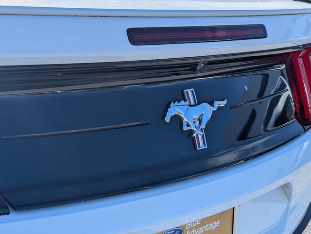 Certified 2021 Ford Mustang Premium w/ Equipment Group 201A image 12