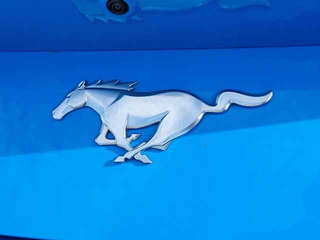 Certified 2024 Ford Mustang Premium RWD image 8