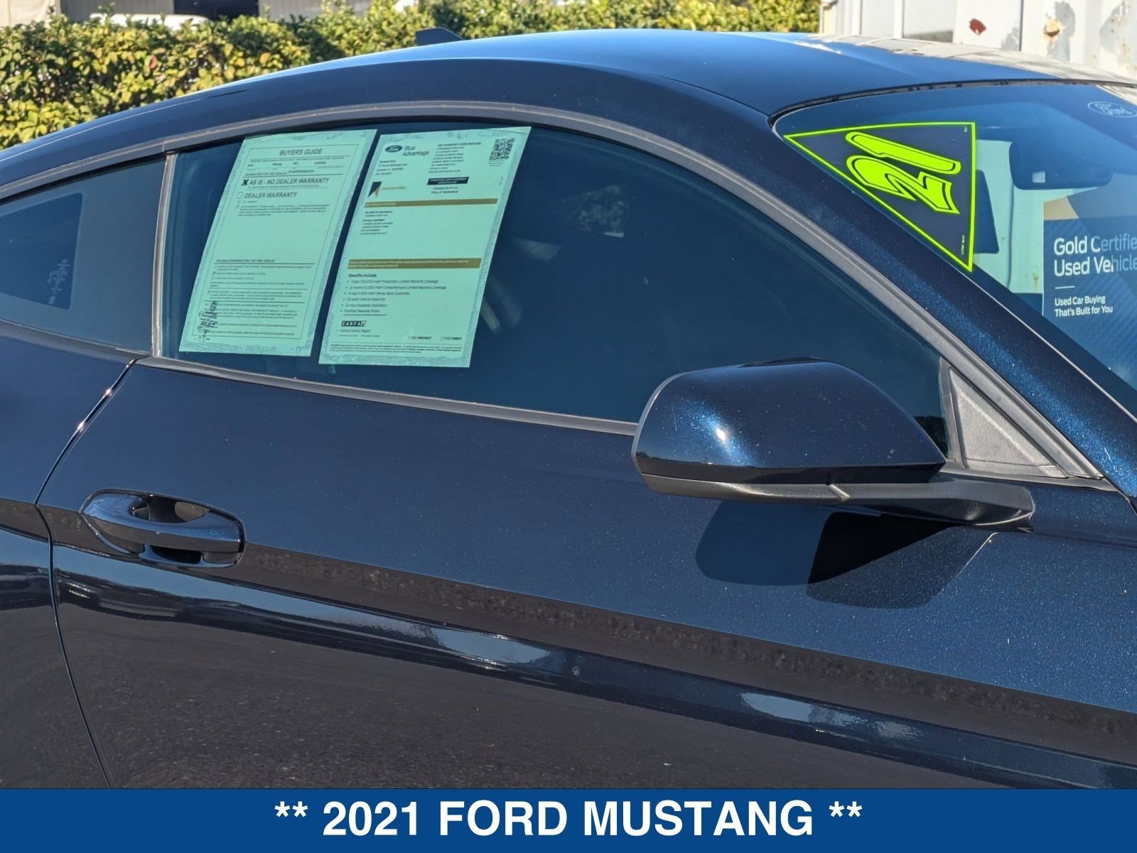 Certified 2021 Ford Mustang EcoBoost image 10