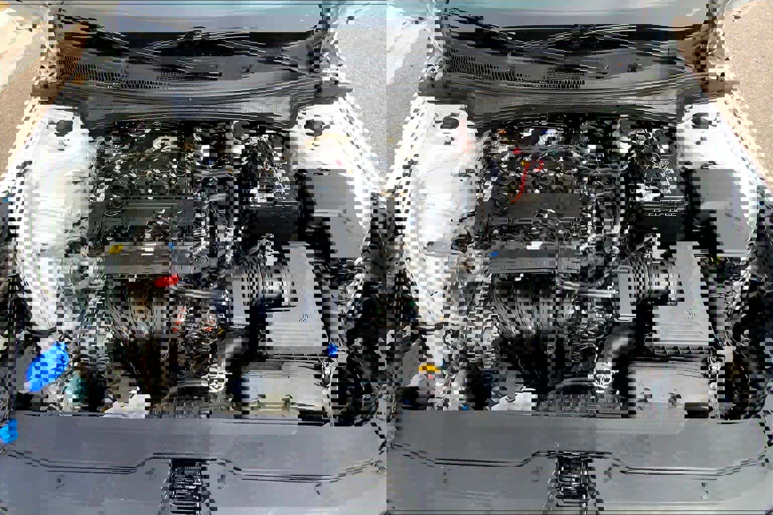 Used 2023 Hyundai Elantra Limited image 31