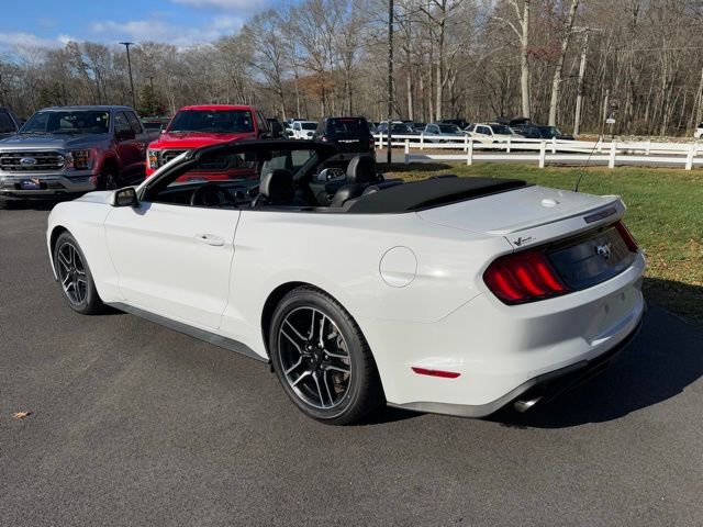 Certified 2021 Ford Mustang Premium image 9
