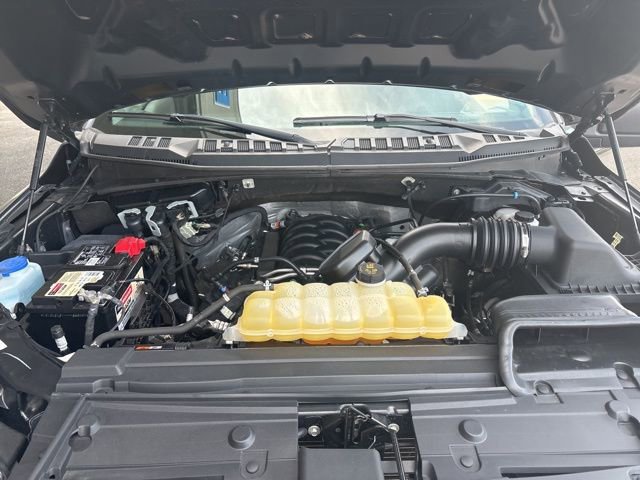 Certified 2020 Ford F150 XL w/ Equipment Group 101A Mid image 4