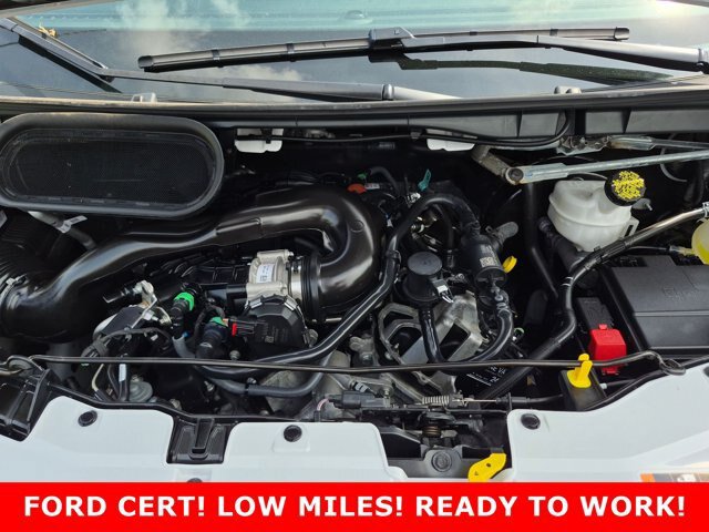 Certified 2025 Ford Transit 250 Low Roof w/ Exterior Upgrade Package RWD image 25