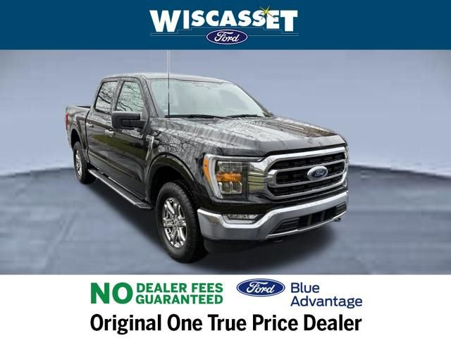Certified 2022 Ford F150 XLT w/ Equipment Group 302A High image 7