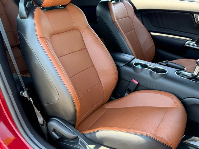 Certified 2019 Ford Mustang Premium RWD image 38