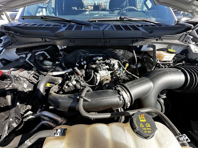 Certified 2023 Ford F150 XL w/ STX Appearance Package image 32